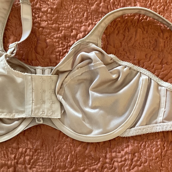 BALI 3562 Satin Tracing Full Figure Underwire Minimizer Full Coverage Bra 34DD - Picture 6 of 13